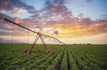 Agricultural irrigation system watering corn field on sunny summer day