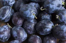 Ripe Plums as a Background.