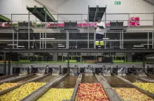 przechowywanie jabłek w chłodniach a koszty energii