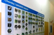 Corteva ”Dzielimy się wiedzą”