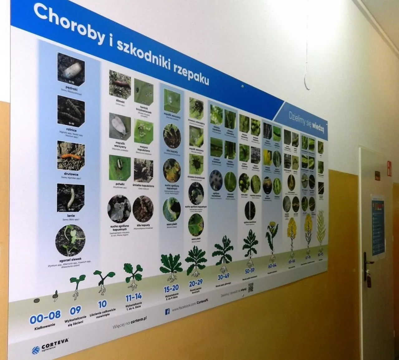 Corteva ”Dzielimy się wiedzą”