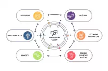 Czynniki wpływające na mikrobiom gleby