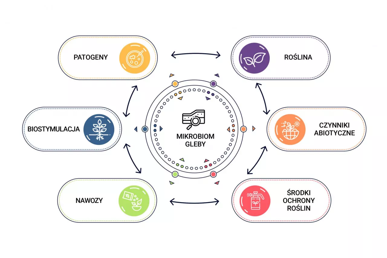 Czynniki wpływające na mikrobiom gleby