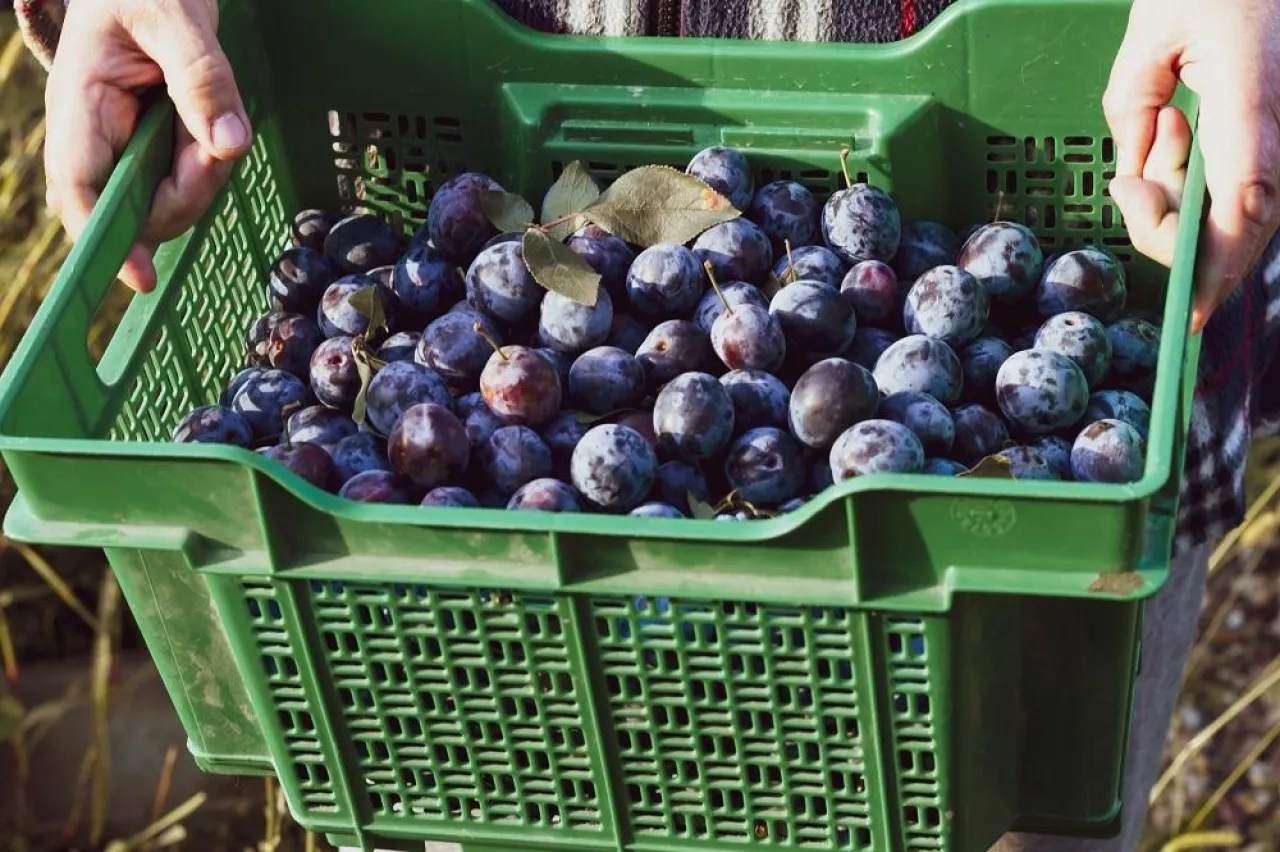 nowe przepisy praca dla cudzoziemców w Polsce