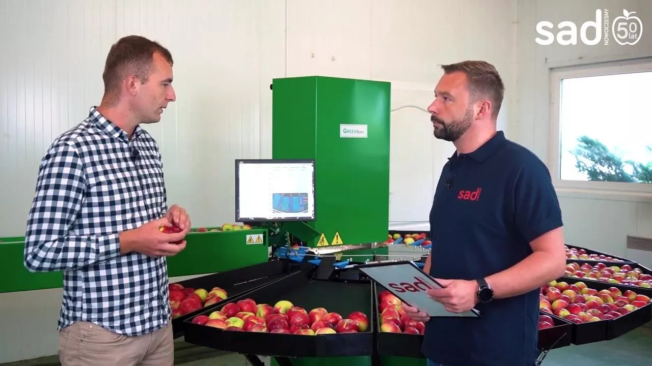 Sortownica Green Sort