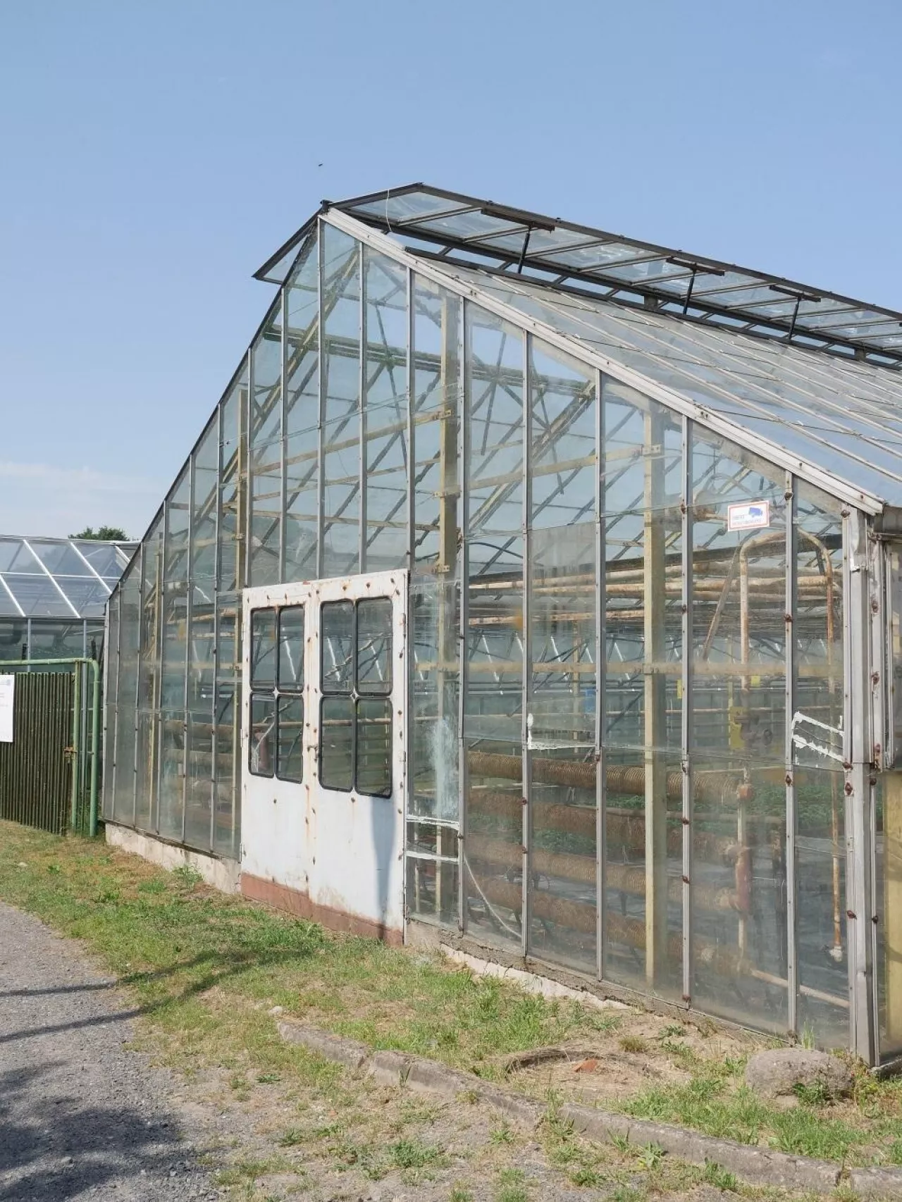 600 tys. ton wegla do upraw szklarniowych i tunelowych