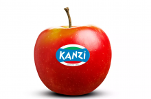 Odmiana klubowa Kanzi