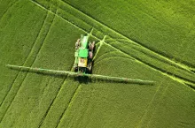 Zmiany w przepisach od 2023 roku – co z neonikotynoidami?