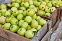 Ogromna szansa dla polskiego koncentratu na rynku amerykańskim