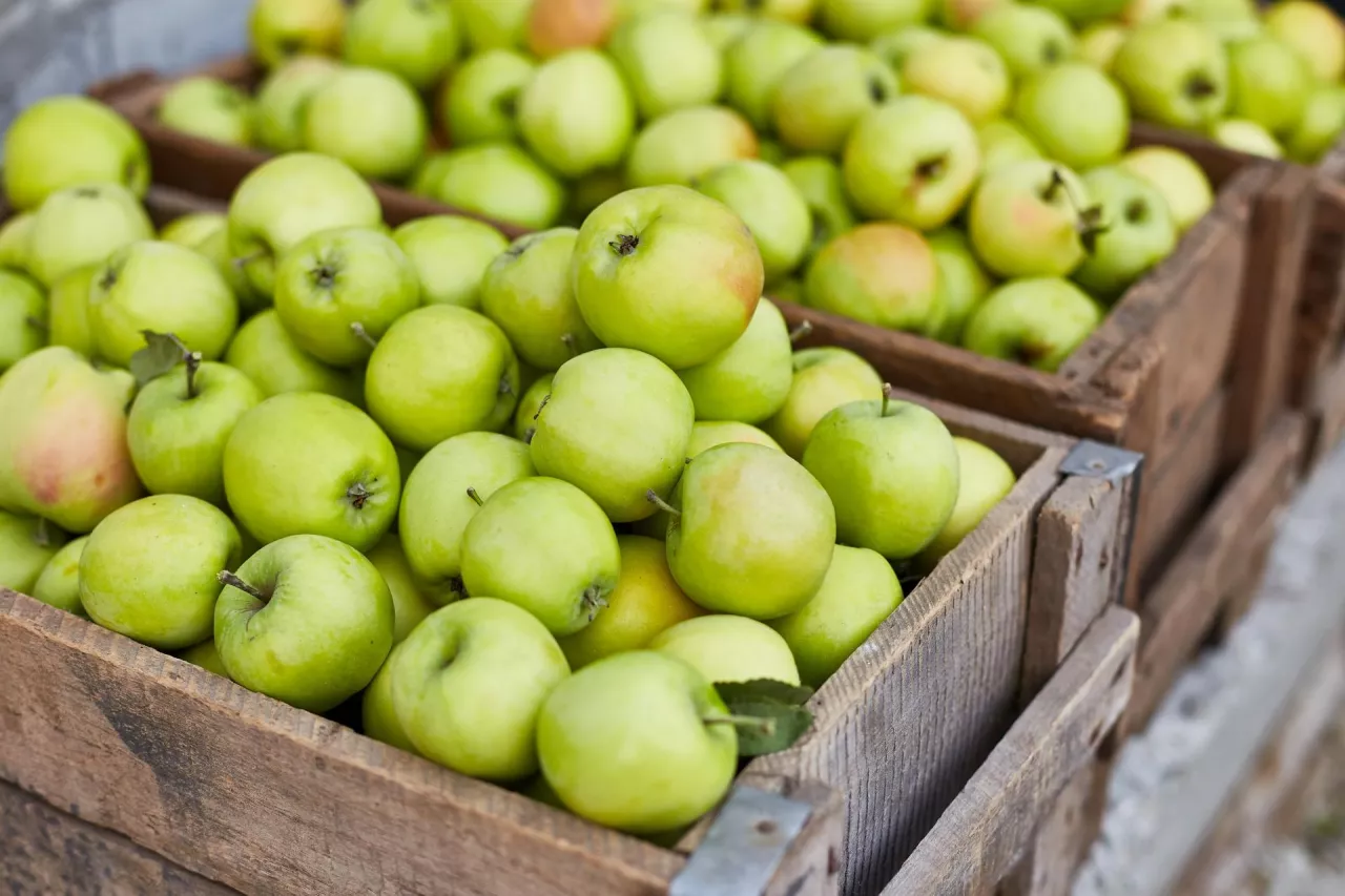 Ogromna szansa dla polskiego koncentratu na rynku amerykańskim