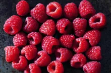 Ceny malin na przetwórstwo sezon 2022