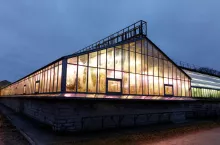 Podatek dochodowy dla upraw spacjalnych