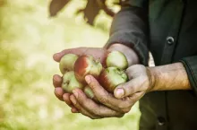 Grupy producentów Witold Boguta o grupach producentów