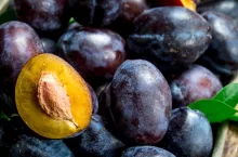 Ceny śliwek na rynkach hurtowych w Polsce