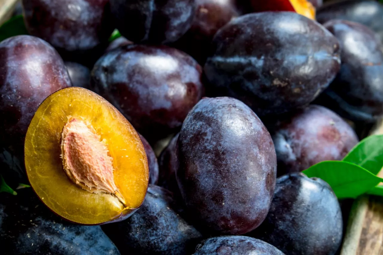 Ceny śliwek na rynkach hurtowych w Polsce