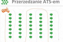 Przerzedzanie ATS-em, przerzedzanie zawiązków