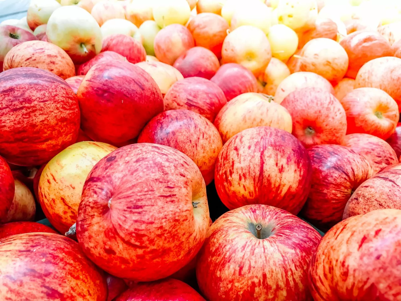 jabłka sprzedawane w restauracji