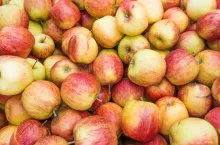 Certyfikat jabłka bez pozostałości AgroTrend