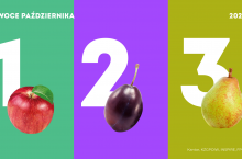 Owoce października KANTAR