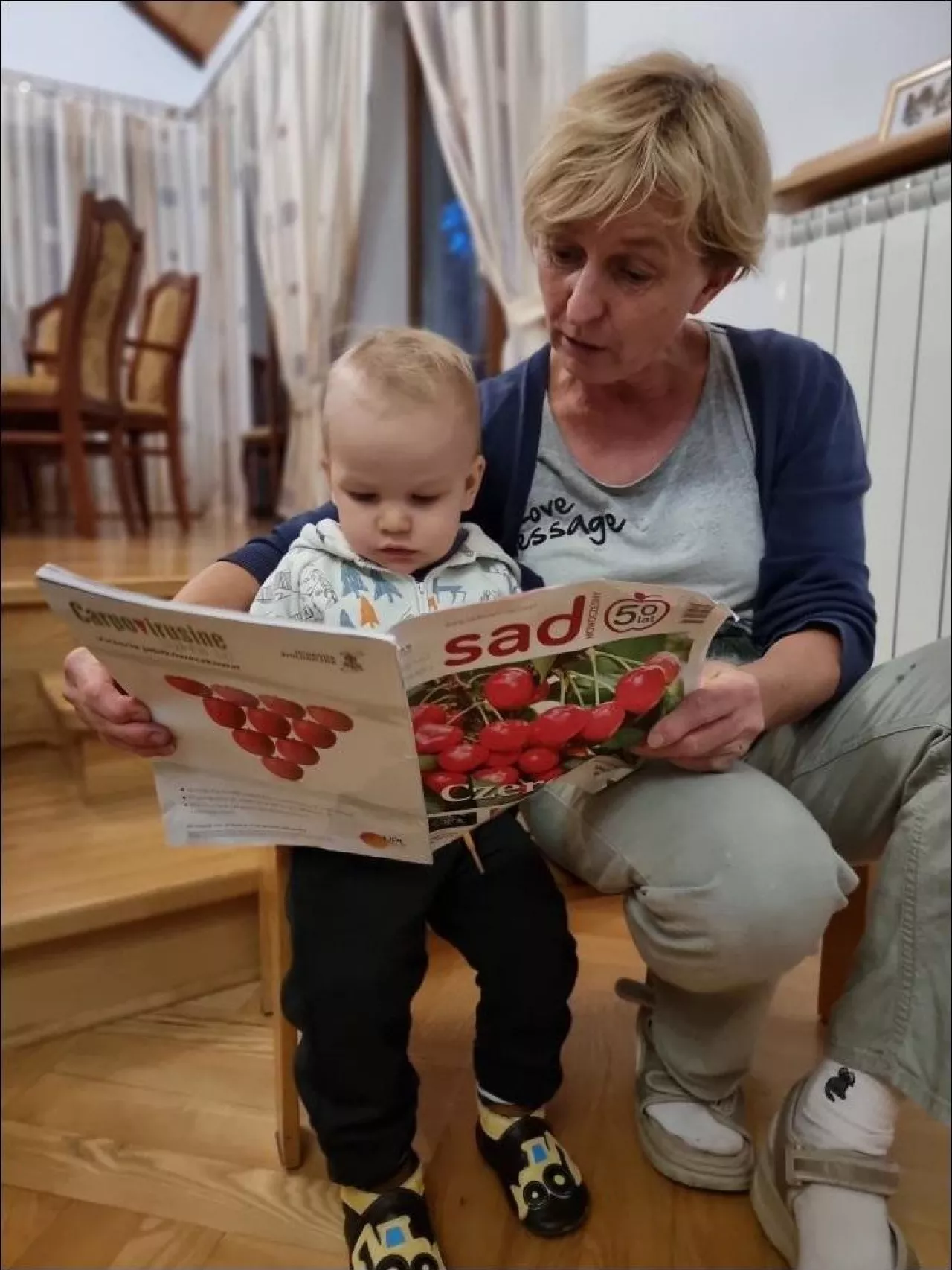 Pani Halina Sad Nowoczesny