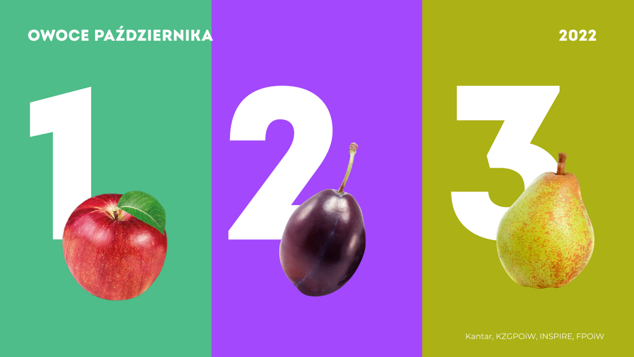 Owoce października KANTAR