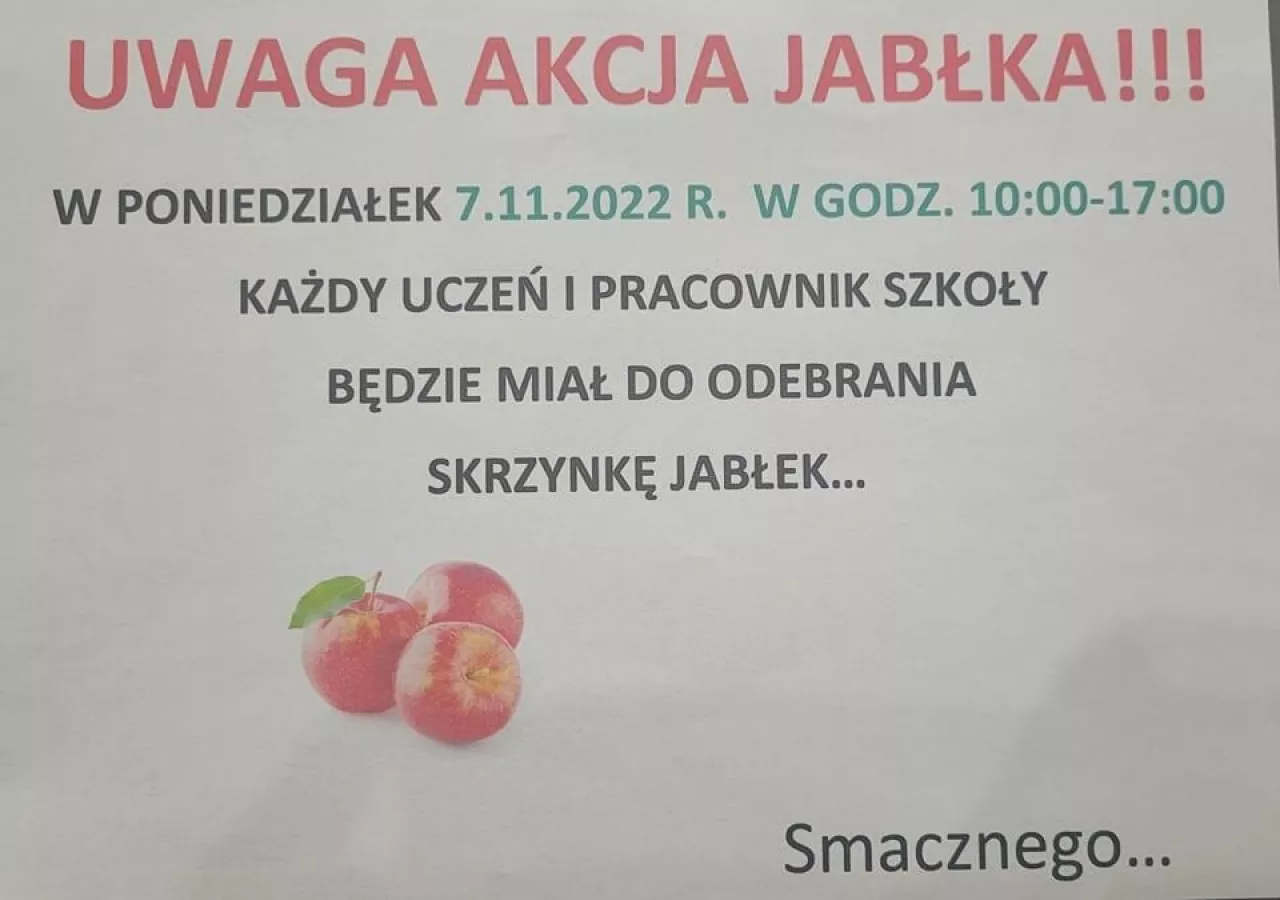 III Liceum Ogólnokształcące im. prof. T. Kotarbińskiego w Zielonej Górze Facebook