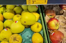 importowane owoce i warzywa AgroUnia projekt rządowy