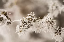 IMGW prognoza pogody