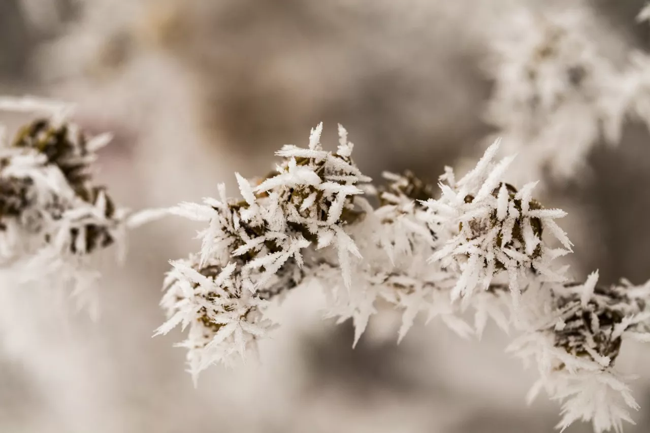 IMGW prognoza pogody