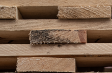 palety drewniane koszt