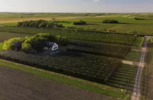 Odwołanie darowizny. Czy możemy odebrać zięciowi przekazaną część majątku i przepisać ją na córkę?