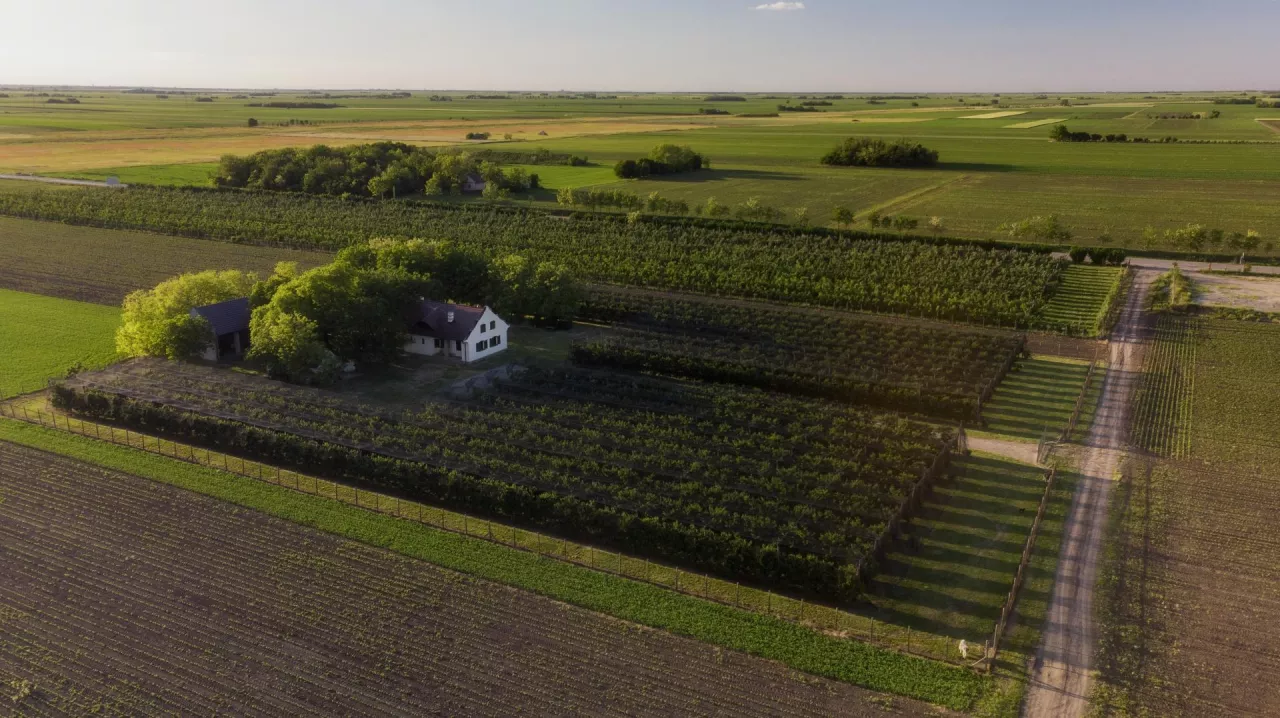 Odwołanie darowizny. Czy możemy odebrać zięciowi przekazaną część majątku i przepisać ją na córkę?