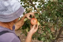 Petycja zatrudnianie pracowników sezonowych