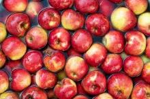 Mołdawia eksport do Indii