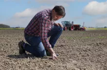 Zrównoważone rolnictwo program Bayer – Forward Farming.