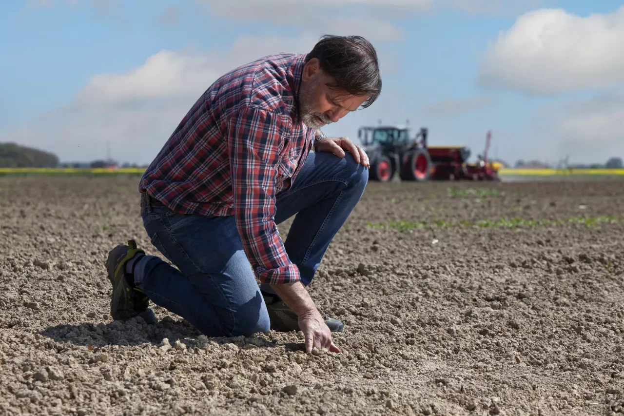 Zrównoważone rolnictwo program Bayer – Forward Farming.