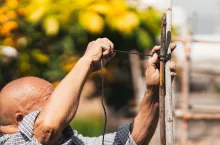 budowanie sadów Ukraina