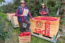 Sad Nowoczesny listopadowy zwycięzca