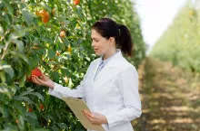 Kontrola jakości handlowej