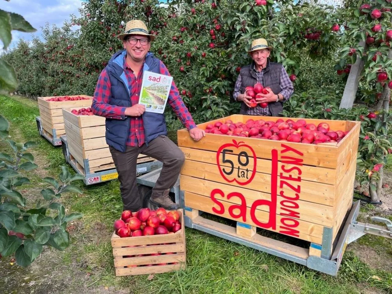 Sad Nowoczesny listopadowy zwycięzca