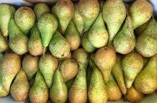 gruszki grecja polska