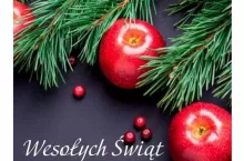 Sad Nowoczesny 12/2022