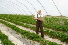 wyszukiwarka środków ochrony roślin