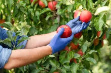 dofinansowanie, składanie wniosków AriMR