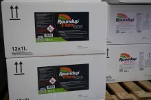 Roundup, glifosat do kiedy można używać?