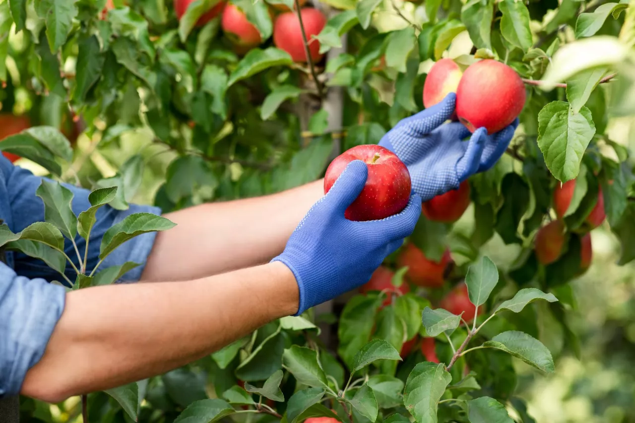 dofinansowanie, składanie wniosków AriMR