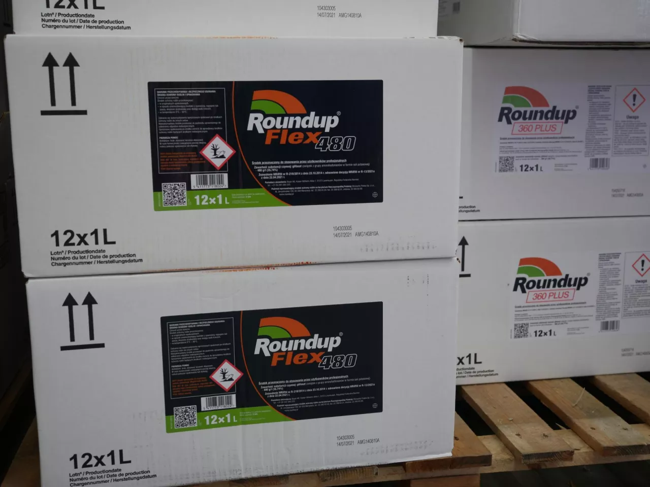 Roundup, glifosat do kiedy można używać?