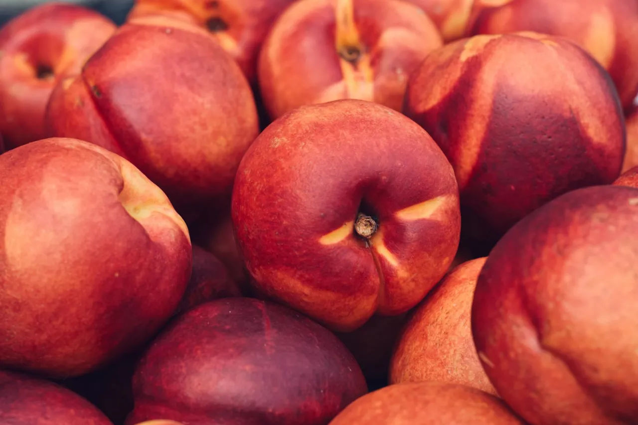 spadek produkcji nektaryn, brzoskwiń i jabłek