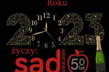 Nowy rok 2023 życzenia