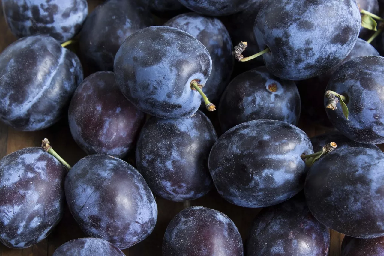 ceny mołdawskich śliwek